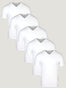 All White V Neck 5 Pack | Fresh Clean Threads Canada